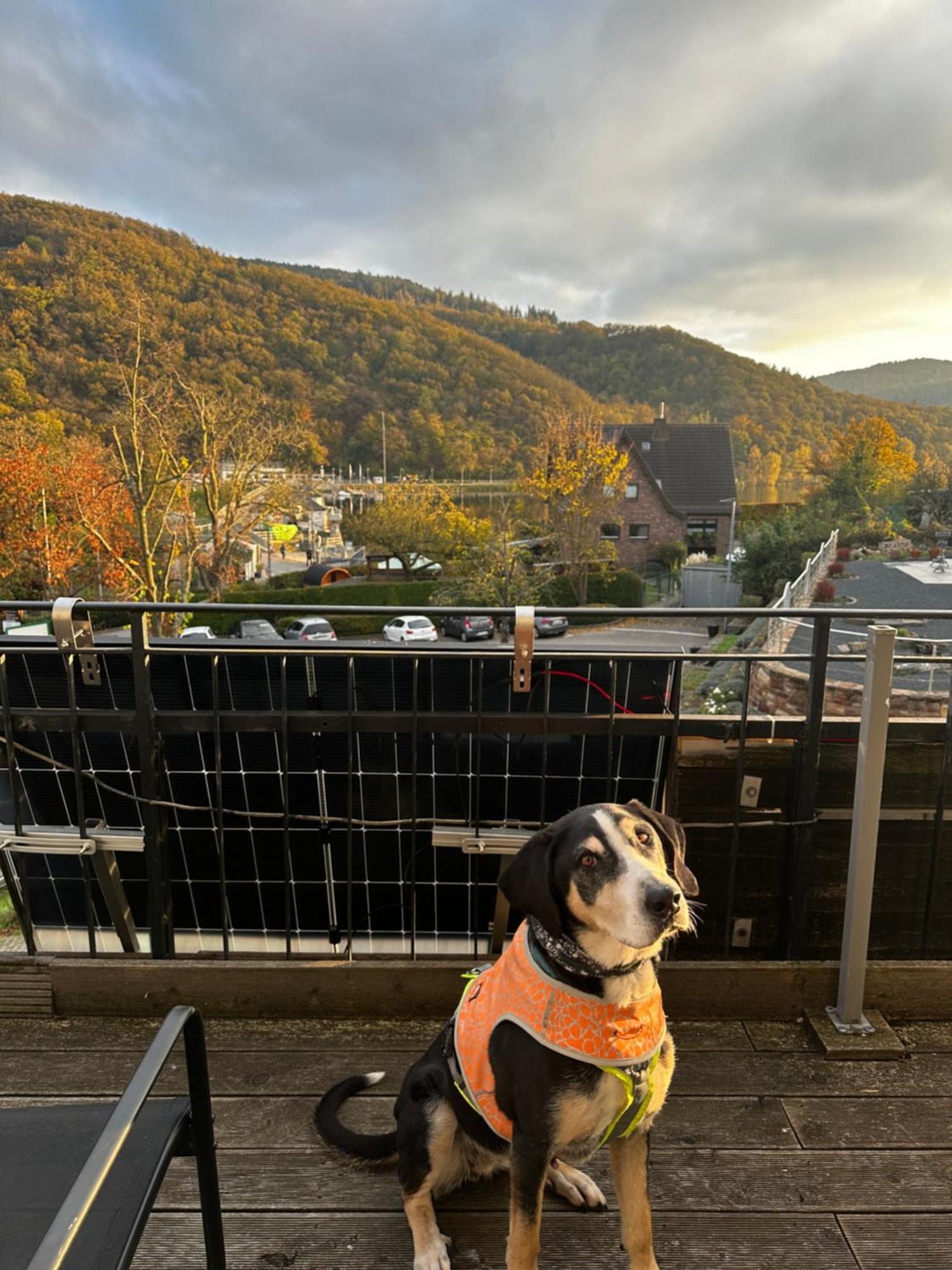 Green Seeblick Hotel Am See Obermaubach Exterior foto
